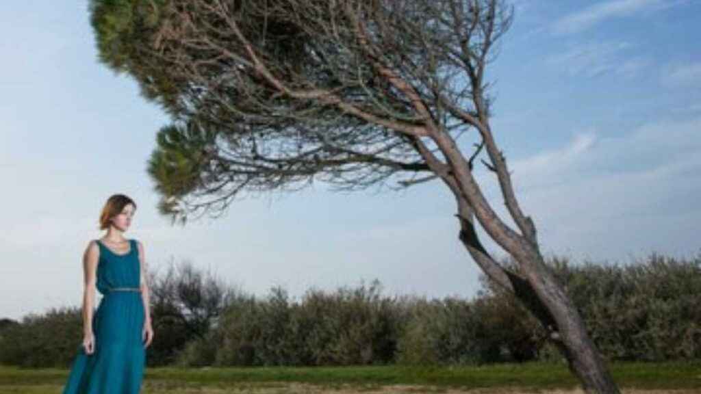 Sonhar com árvore caindo em cima de mim